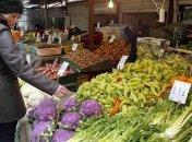 Госстат отмечает рост сельхозпроизводства в Украине