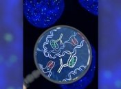 В клетках человека нашли новую форму ДНК