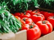 Как правильно хранить помидоры в квартире