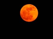 Ученые предположили, что оранжевая луна могла бы быть домом для живых существ