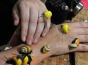 Улитки помогут омолодить кожу