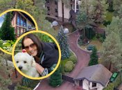 Имение Софии Ротару находится в Конча-Заспе