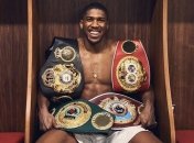 Завтра назовут нового соперника Джошуа