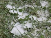 Донецк накрыло настоящим снегопадом 