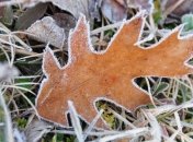 Прогноз погоды на 7 октября: ожидается значительное похолодание