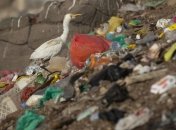 Евросоюз запретил одноразовый пластик