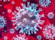 У США заявили, що вчені з лабораторії в Ухані перебігли на Захід