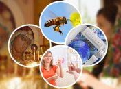 Какие завтра праздники: традиции и приметы на 20 мая