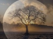 Полнолуние 12 декабря: рекомендации астрологов на этот день