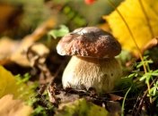 Прогноз погоды в Украине на 7 сентября: дожди пройдут только в Крыму