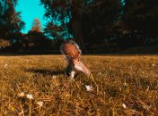 Жовтень — час холодів та свят