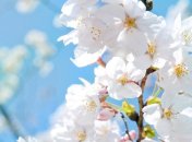 30 марта. Приметы дня