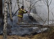 Пожары в Украине: что происходит в Житомирской области и Чернобыльской зоне 