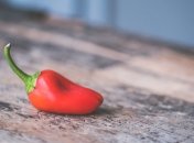 Посев перца в марте - советы