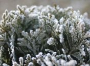 Лунный посевной календарь с 23 декабря по 29 декабря 2019 года