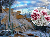 Заморозки в Україні