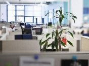 В Киеве аренда офиса в 5 раз дешевле, чем в Гонконге