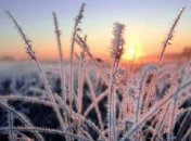 В Украину придет почти весенняя погода: синоптики озвучили прогноз на начало недели