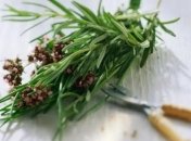 Питание для улучшения мозговой деятельности