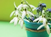 Смс поздравления с Днем рождения на 12 февраля