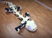 Швейцарские ученые разработали робота-саламандру