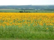 Правительство предлагает передать фермерам 500 тысяч га сельхозземель 