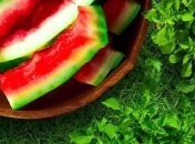 Нашествие улиток и слизней больше не будет страшно