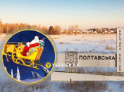 Эти животные – один из символов зимних праздников