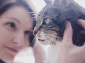 Чем вредно поглаживание кошек?