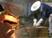 Как появлялись украинские фамилии