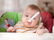 Результаты голосования за вкусы каш Milupa