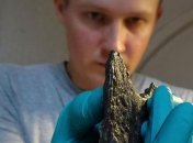 Найдена 1000-летняя могила славянской валькирии