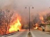 ЕС мобилизовал авиацию для борьбы с пожарами в Ливане