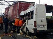 Названа причина масштабного ДТП на Житомирщине, в котором погибли 10 человек