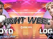 Флойд Мейвезер - Логан Пол: где и когда смотреть бой 