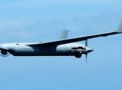 Созданы дроны, которые способны обнаружить акул