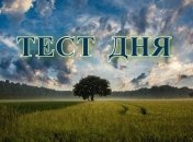 Выберите понравившееся дерево и узнайте, какая профессия подходит именно Вам