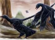 Мікрораптор