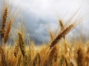 Приметы и обряды на 27 июля - День Стефана Чудотворца