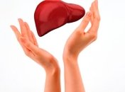 У науки появилась возможность вырастить печень