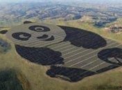 В Китае появилась необычно полезная панда