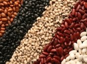 Фасоль в детском питании