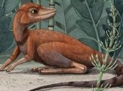 На Мадагаскарі знайшли залишки крихітного предка динозаврів