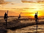 Шри-Ланка: традиционная рыбалка на шесте (Фото)