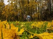 Погода 9 октября: антициклон принесет в Украину бабье лето