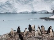 Глобальное потепление: в Мюнхене экологи оценили риски из-за изменений климата