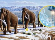 Семья мамонтов