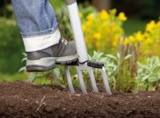 Сезон посадки продолжается, но нужно быть избирательными