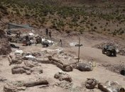 В Аргентине нашли останки крупнейшего динозавра