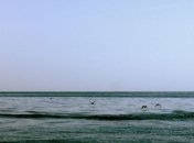 Суд Египта отклонил план передачи островов Красного моря Саудовской Аравии